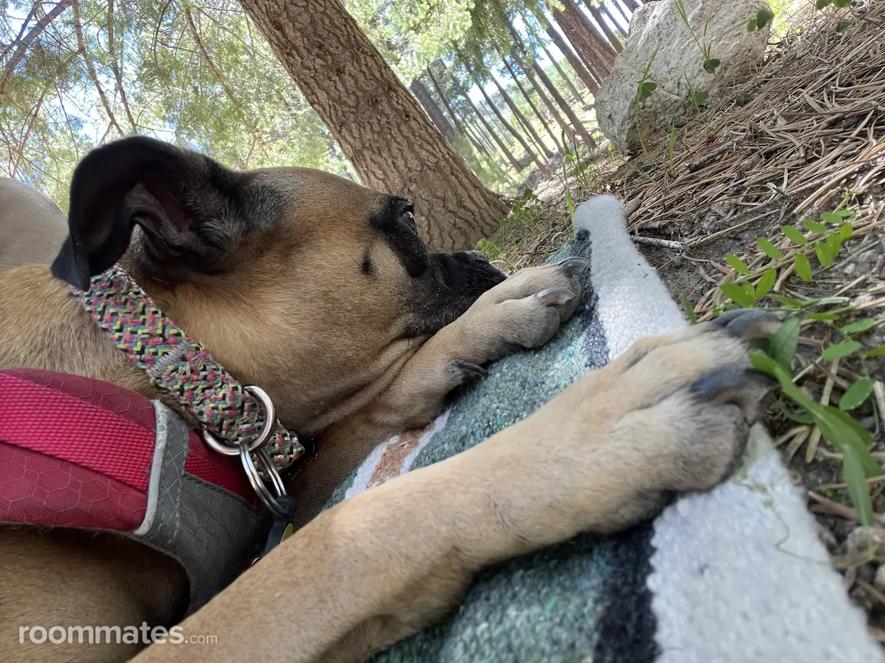 Profile photo 10 of 11