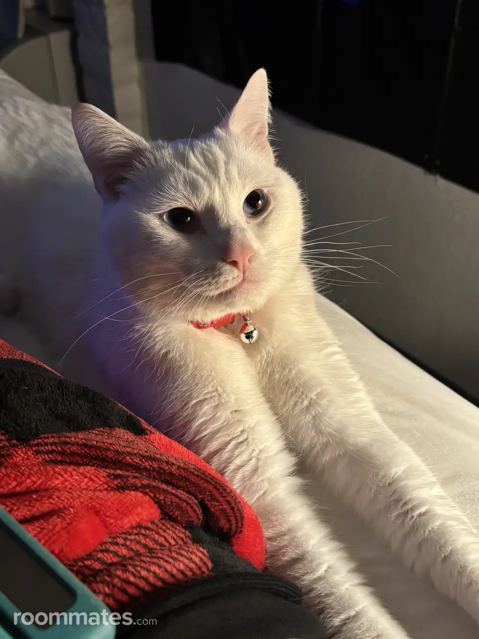 Profile photo 4 of 5