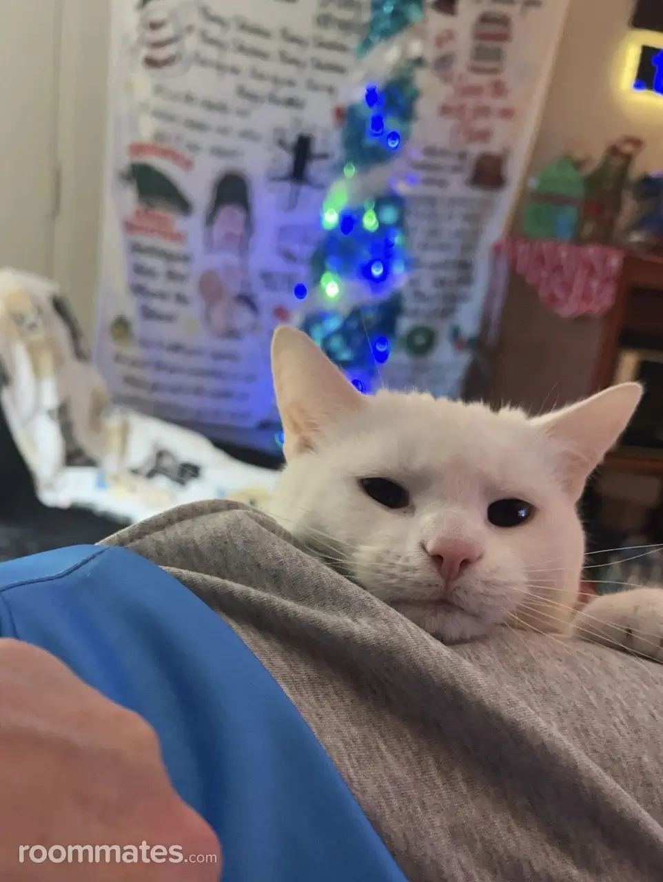 Profile photo 2 of 5