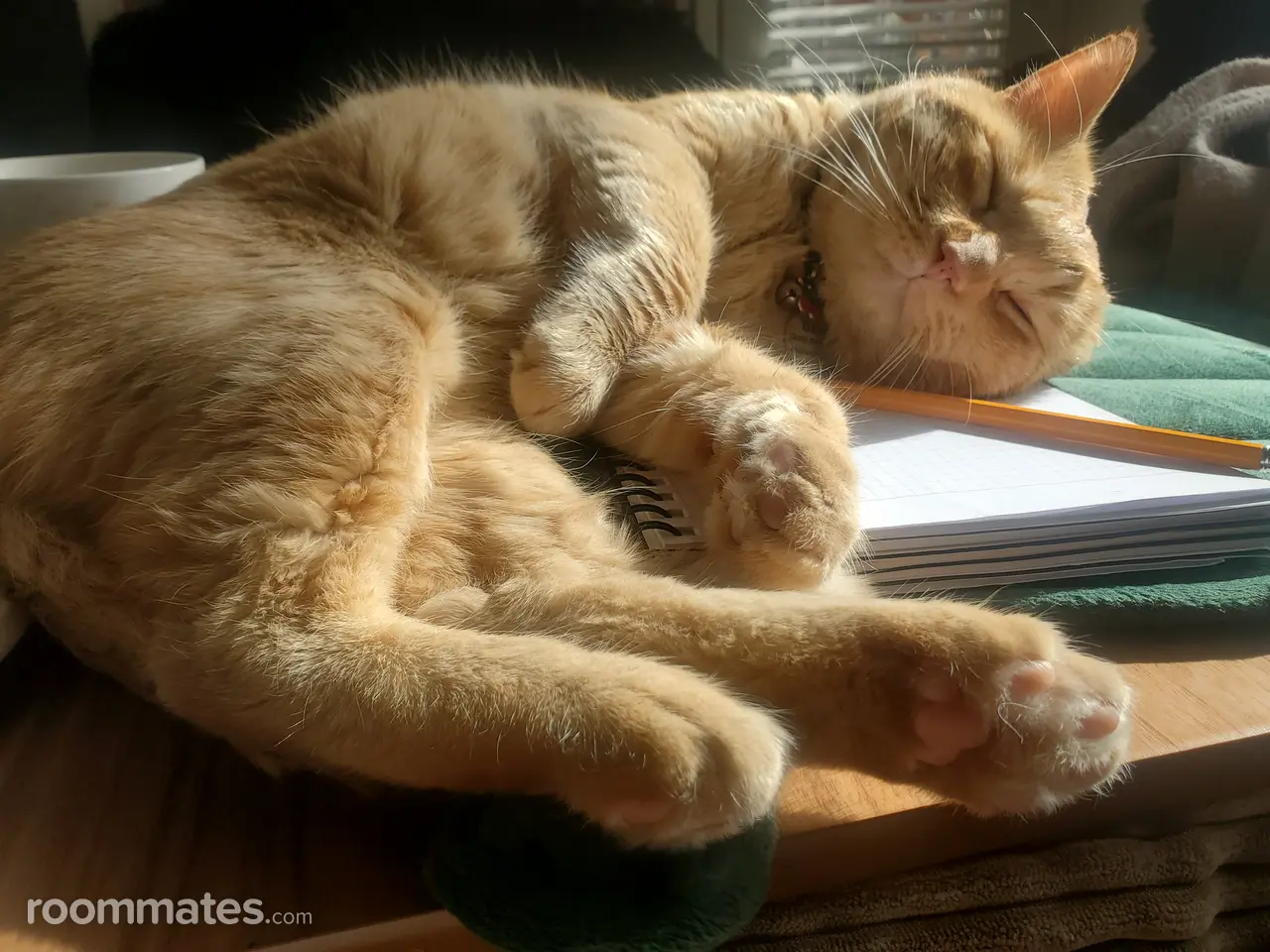 Profile photo 3 of 8