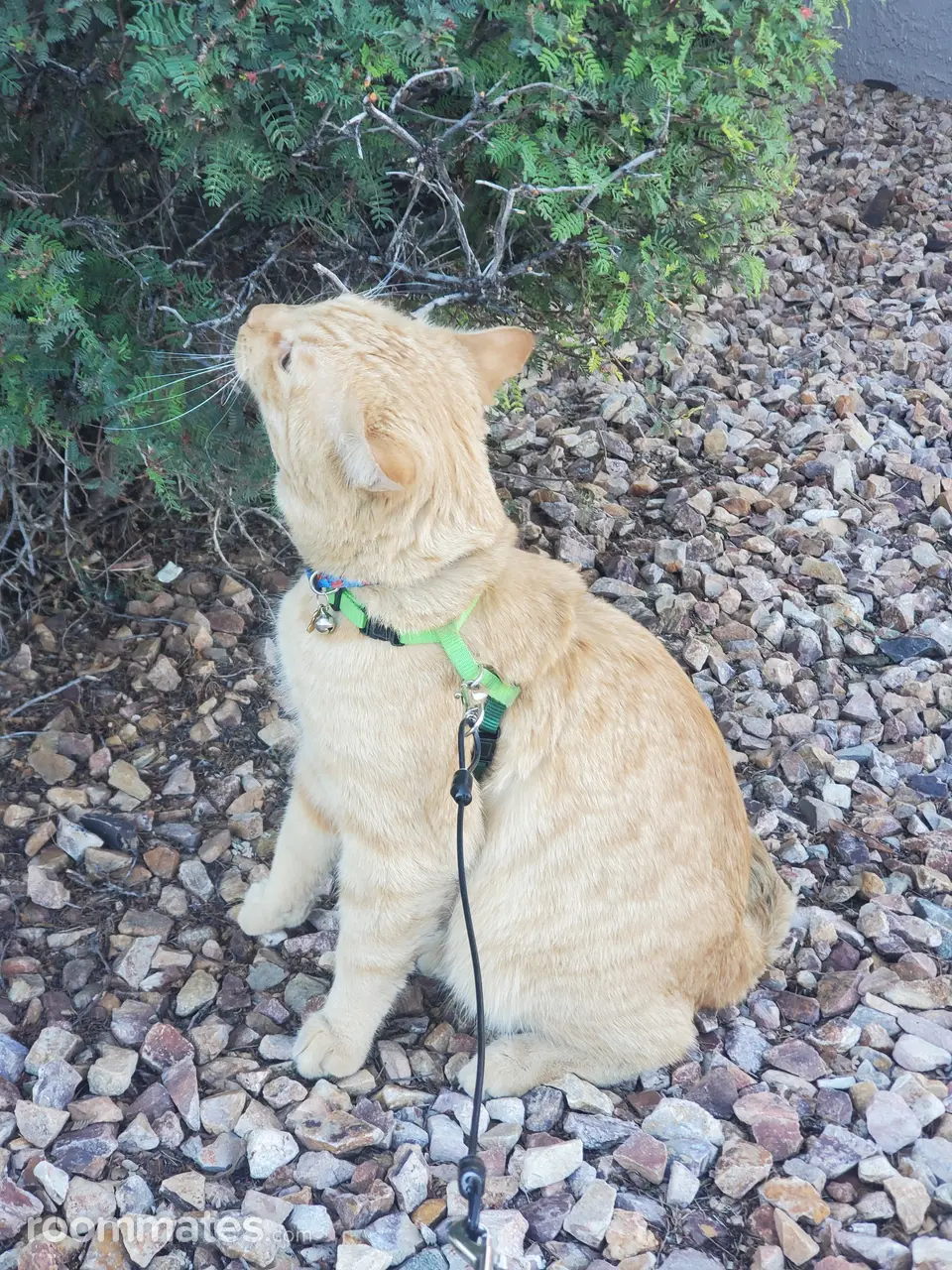 Profile photo 4 of 8