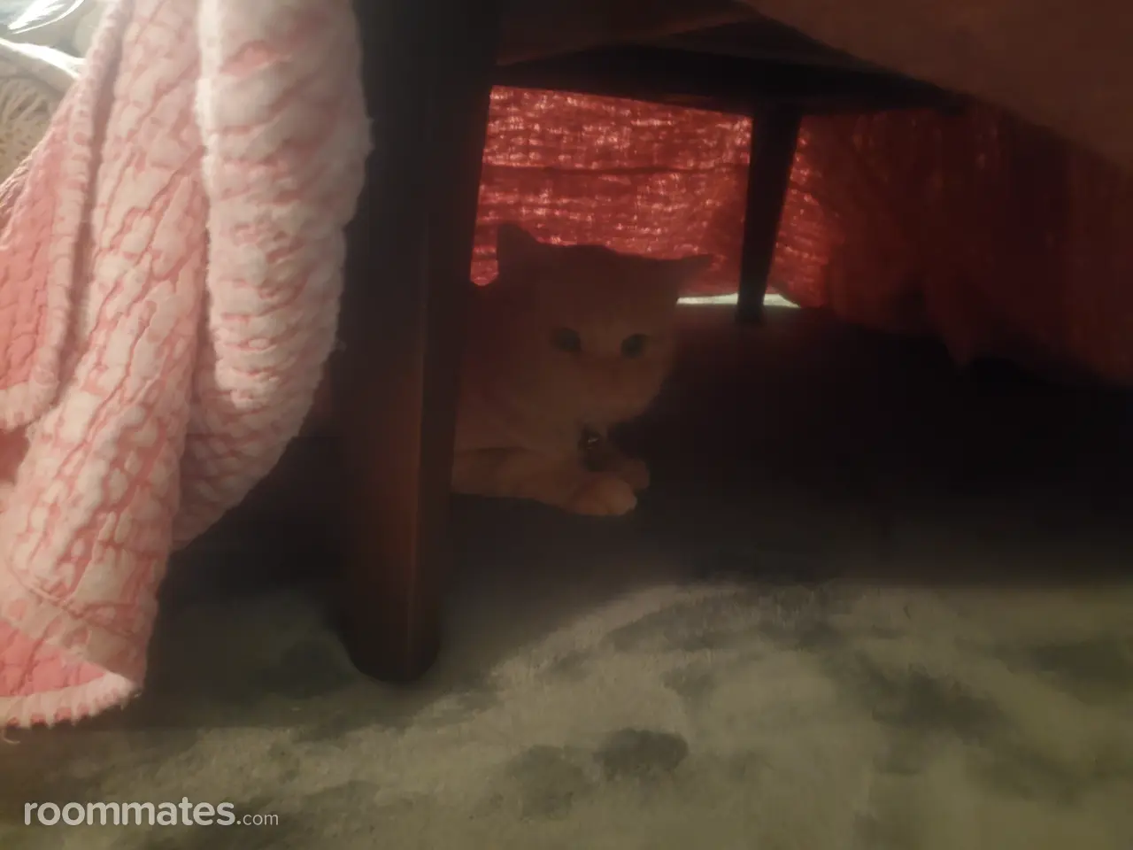 Profile photo 7 of 8