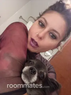 Roommate looking Anderson, IN, $800