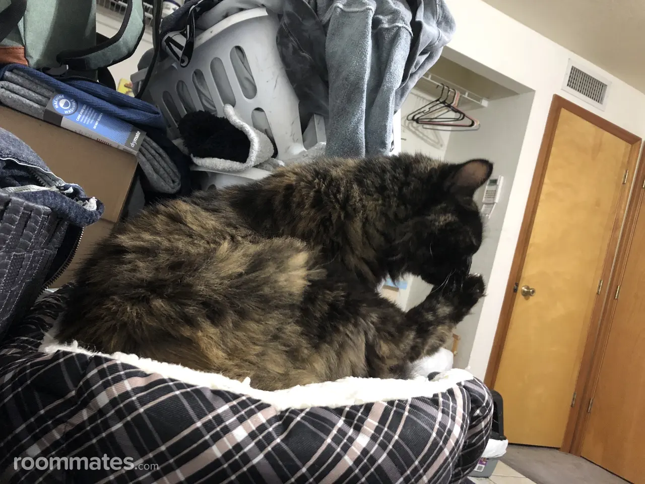 Profile photo 5 of 5