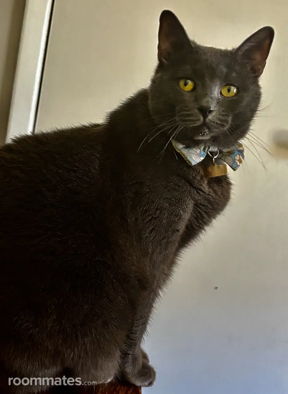 Profile photo 8 of 10