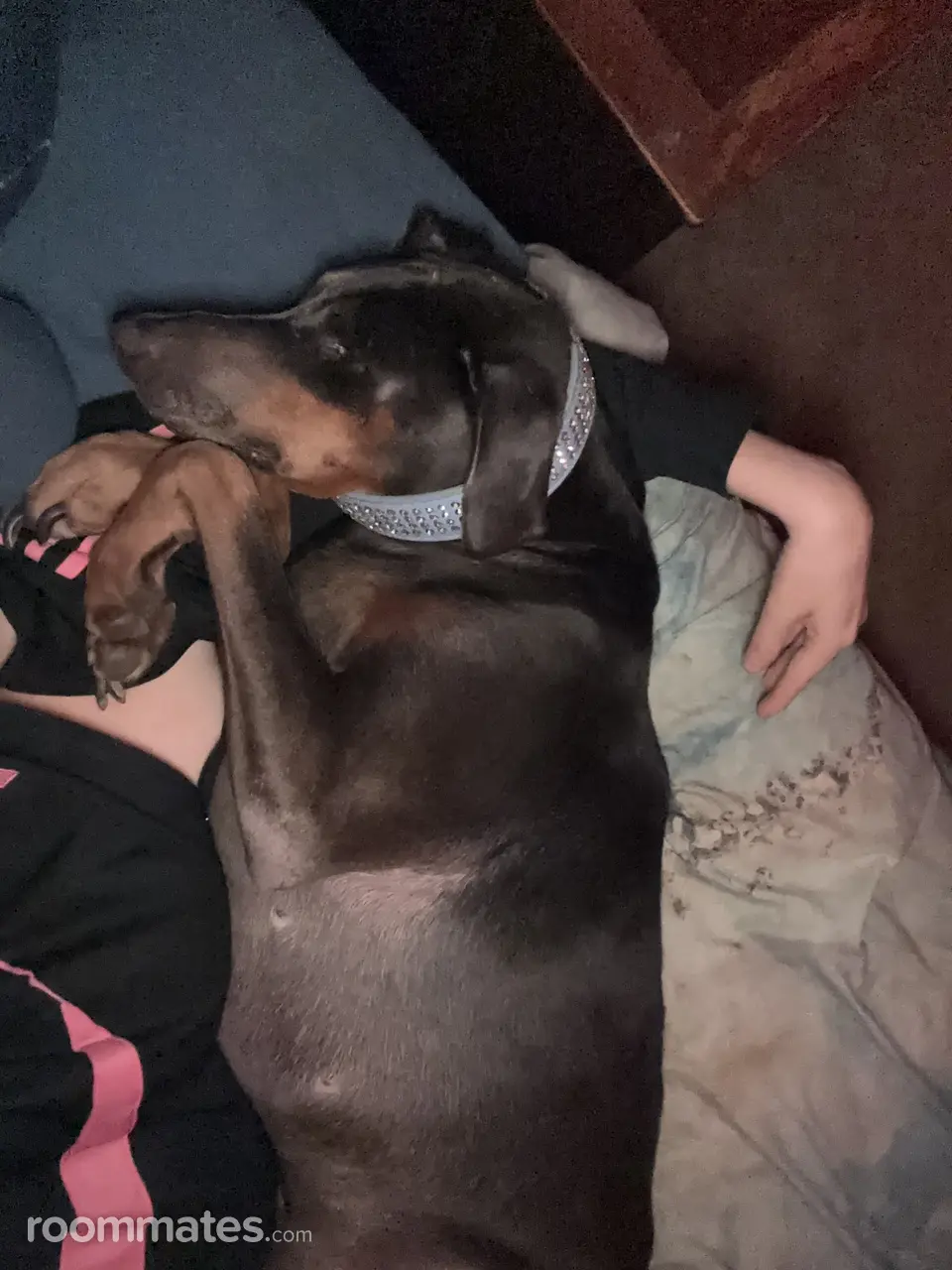 Profile photo 2 of 10