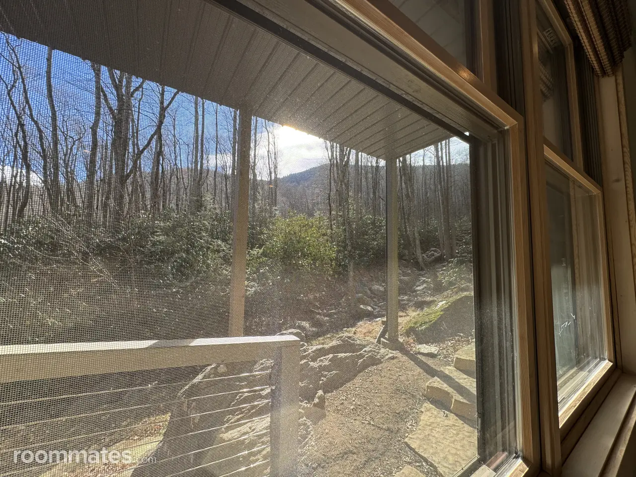 Profile photo 6 of 7