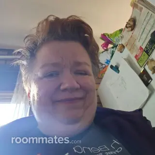 Roommate looking South Bend, IN, $700