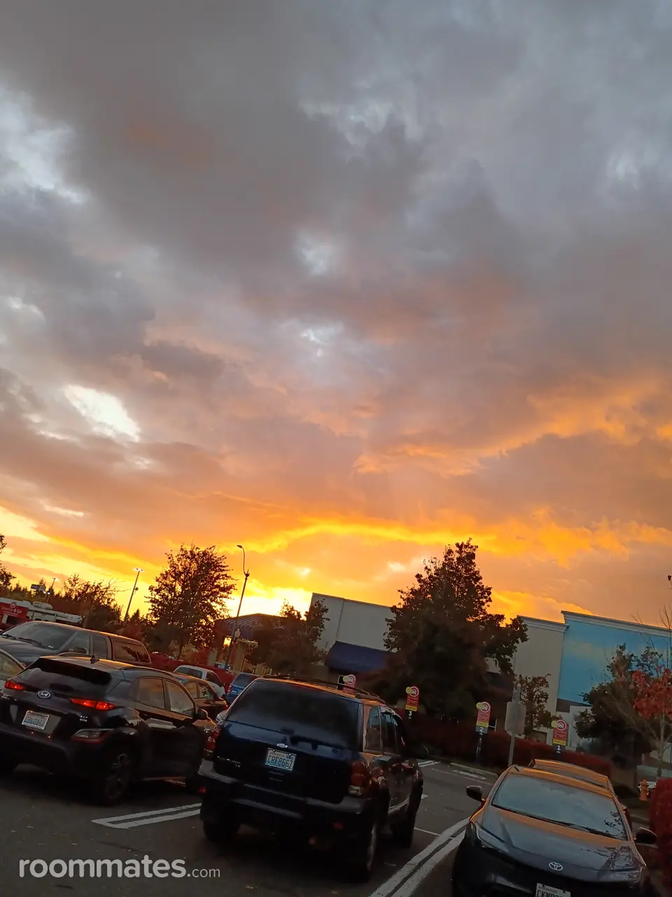 Profile photo 8 of 8