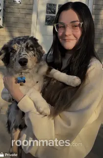 Roommate looking Ogden, UT, $900