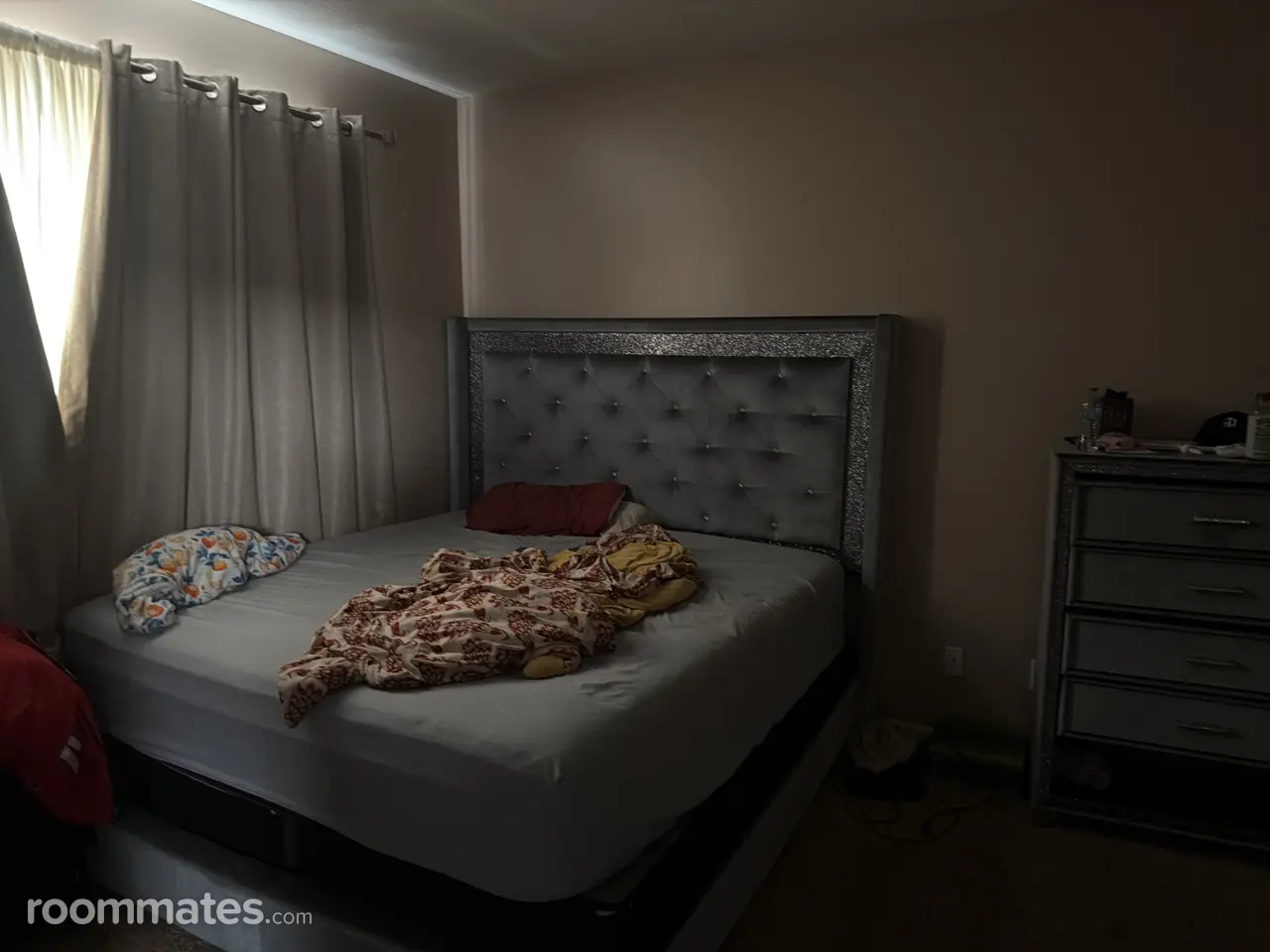 Profile photo 4 of 11