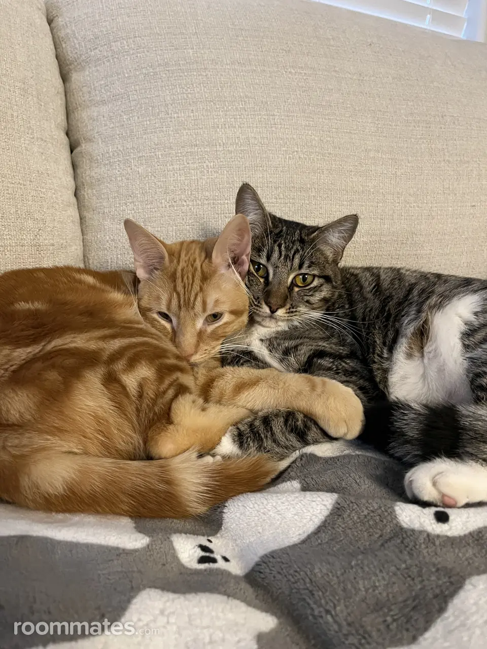 Profile photo 3 of 4