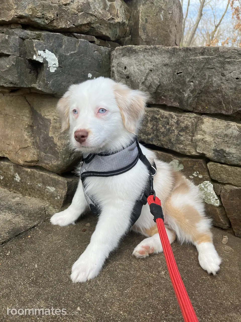 Profile photo 2 of 4