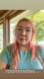 Roommate looking Rochester, NY, $800