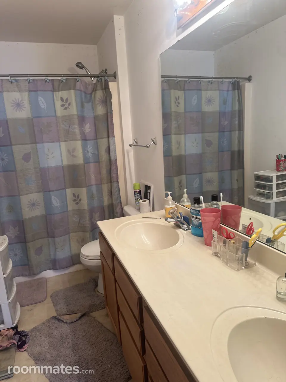 Profile photo 10 of 11