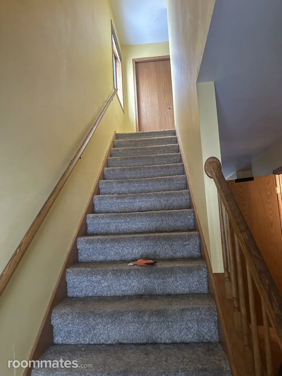 Profile photo 6 of 11