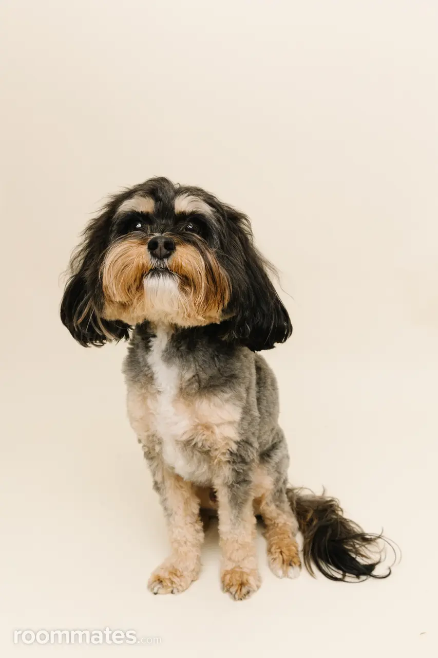 Profile photo 4 of 9