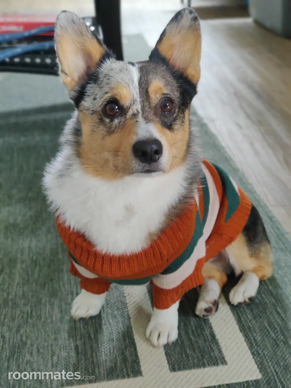 Profile photo 5 of 5