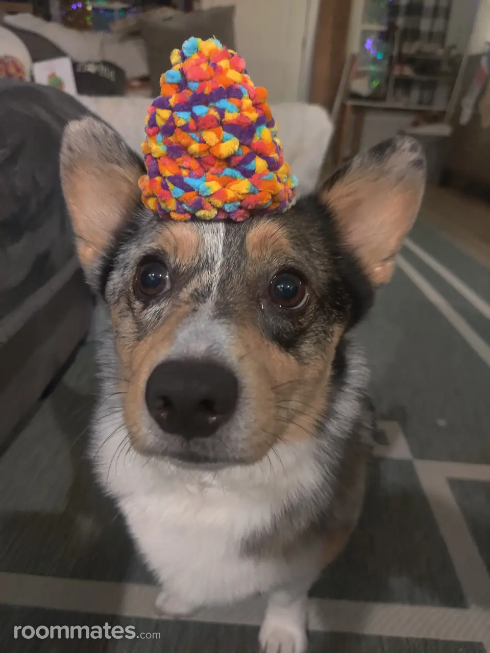 Profile photo 4 of 5