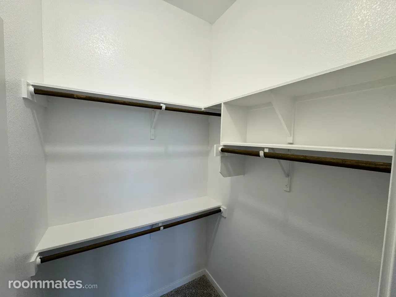 Profile photo 8 of 11