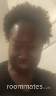 Roommate looking Greenville, SC, $200