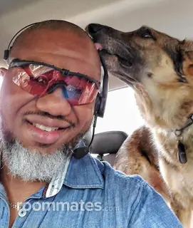 Roommate looking Fort Worth, TX, $500