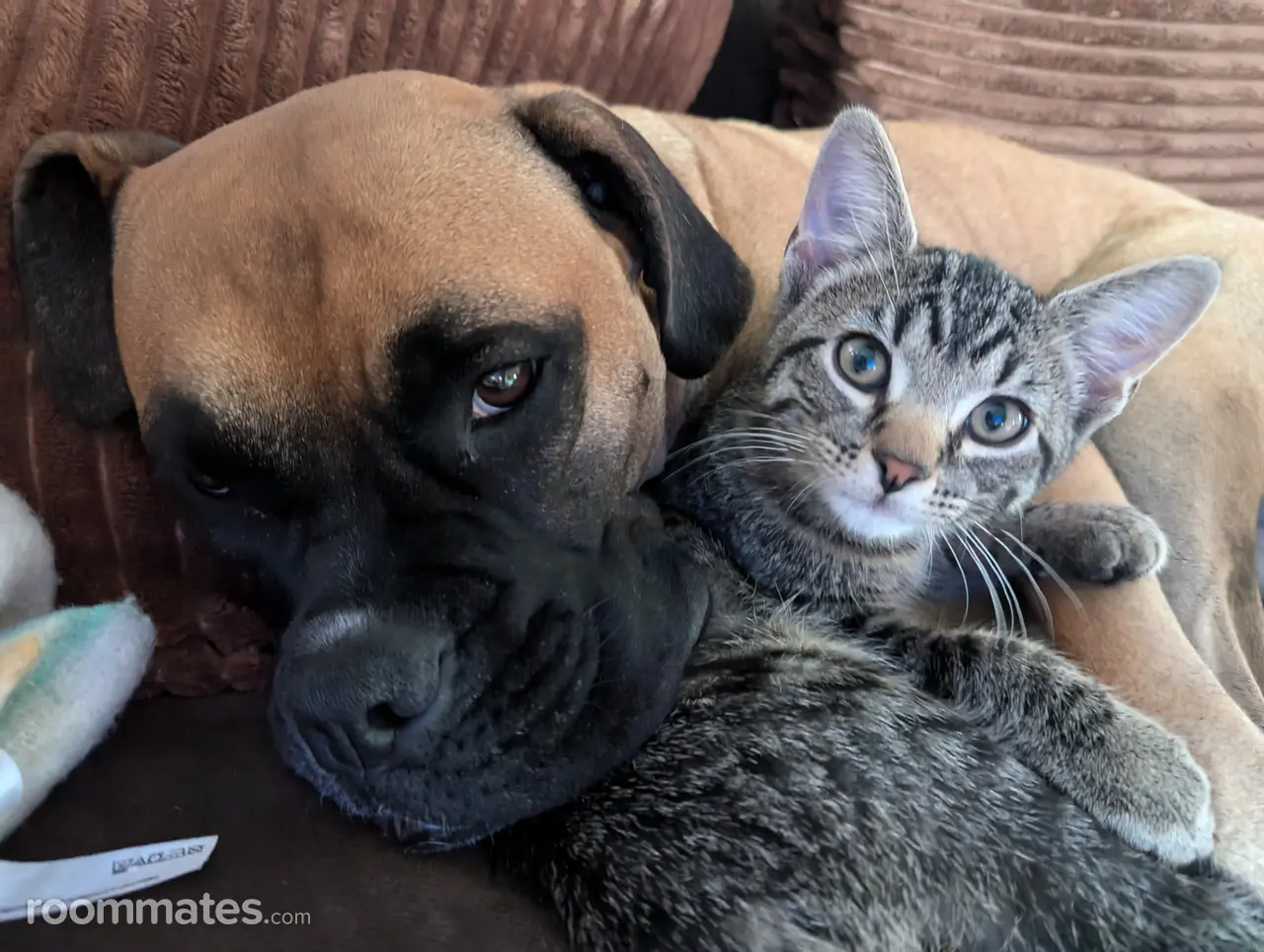 Profile photo 7 of 9