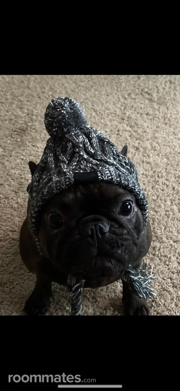 Profile photo 10 of 14