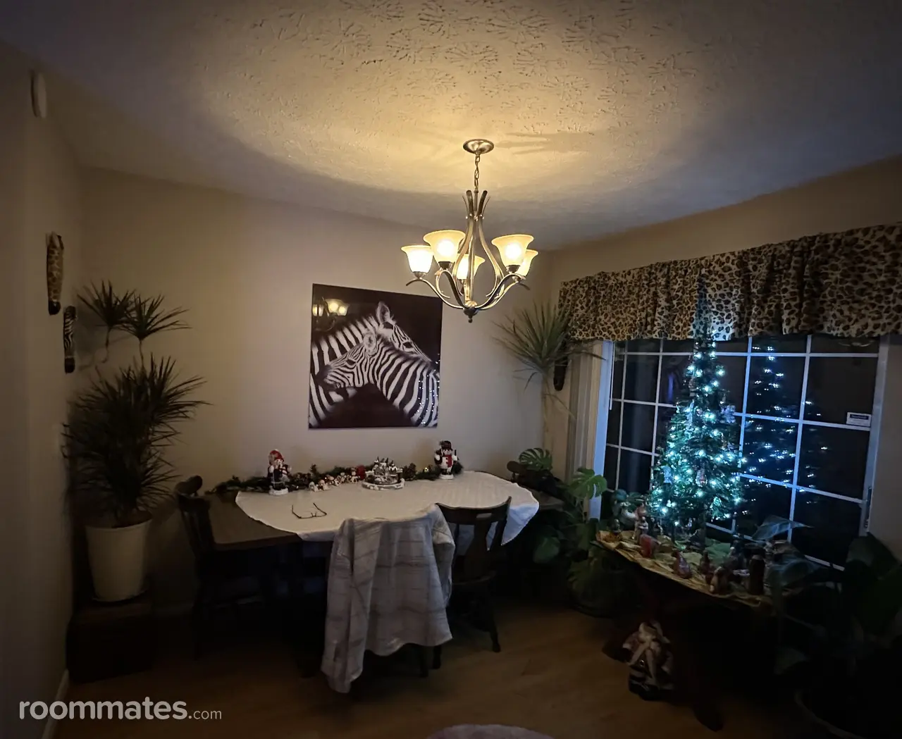 Profile photo 13 of 14