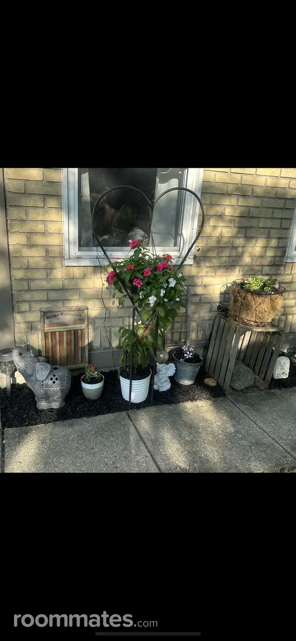 Profile photo 7 of 14