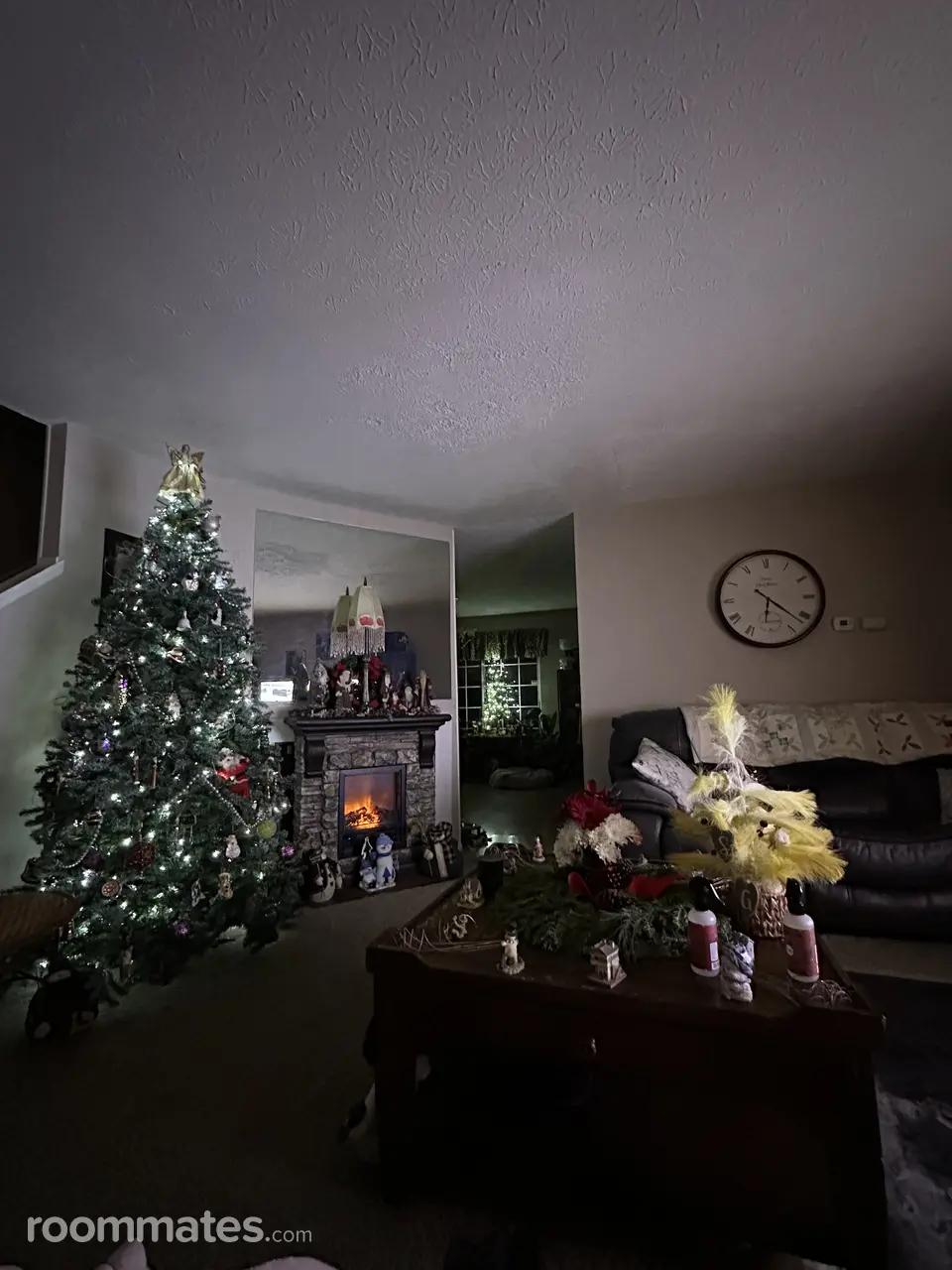 Profile photo 8 of 14