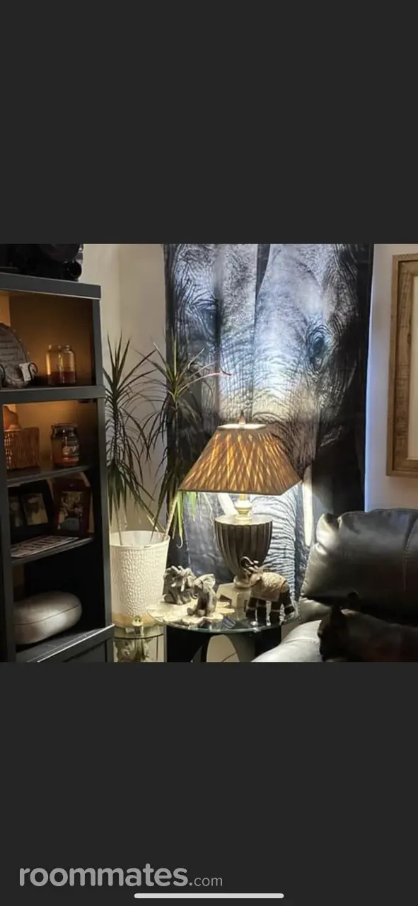 Profile photo 6 of 14