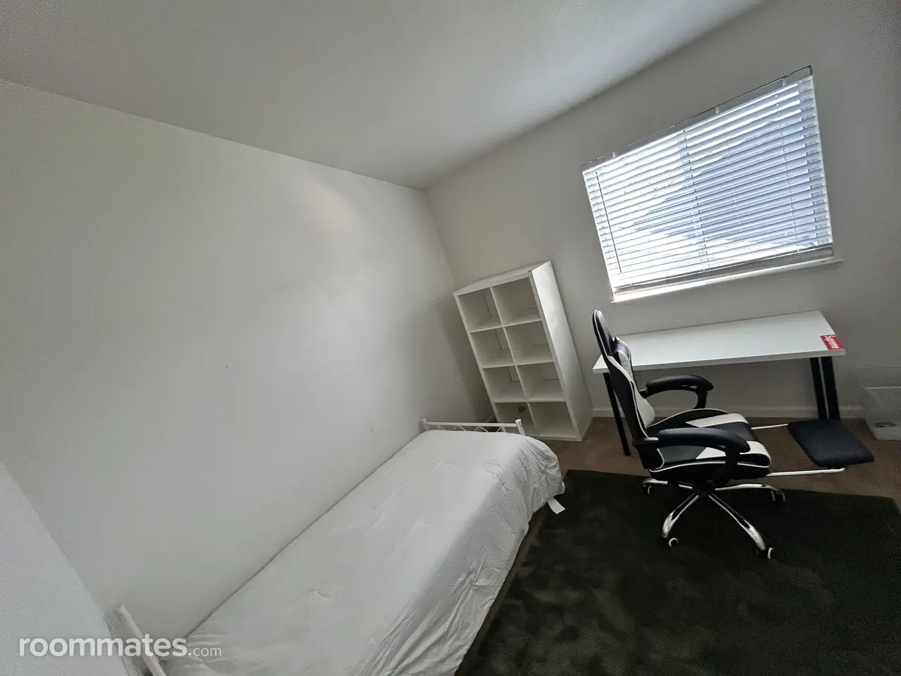 Profile photo 5 of 11