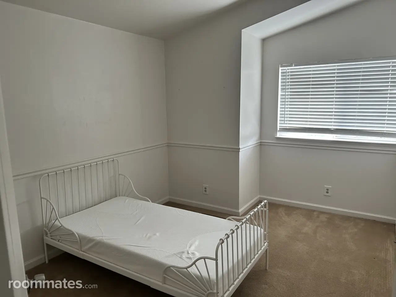 Profile photo 3 of 11