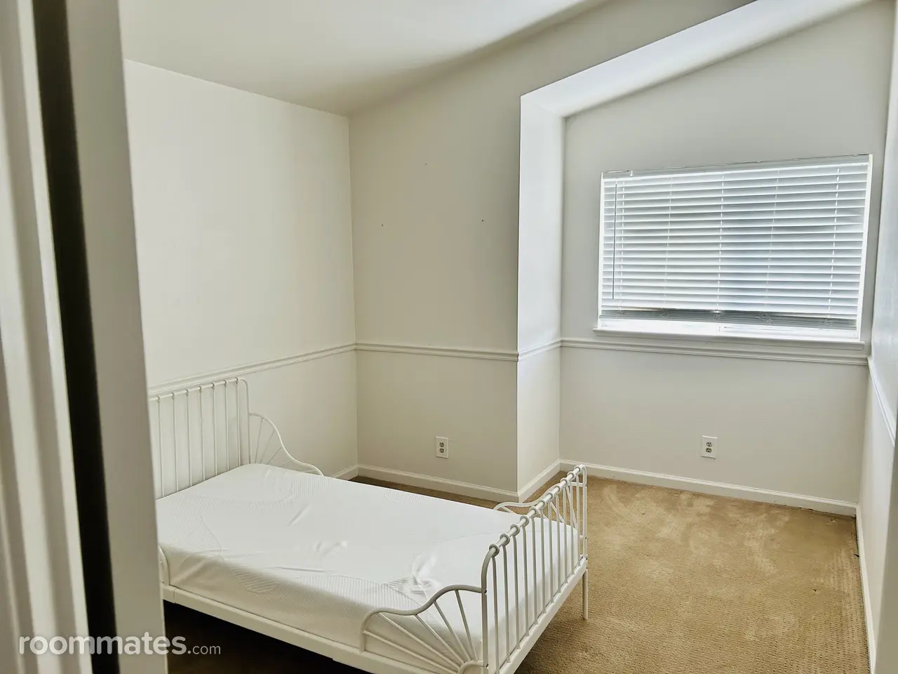 Profile photo 4 of 11