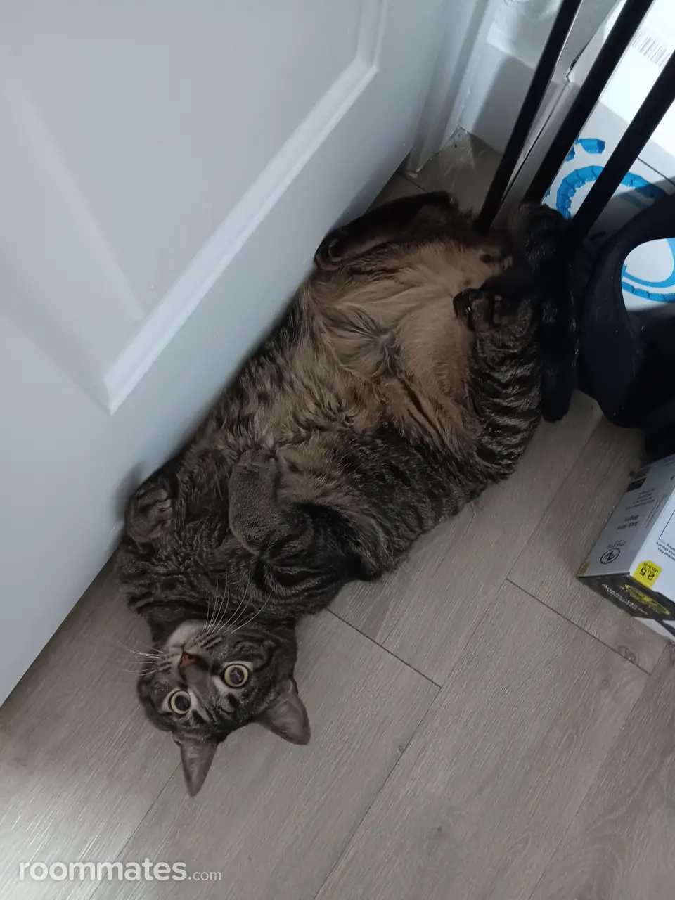 Profile photo 4 of 5