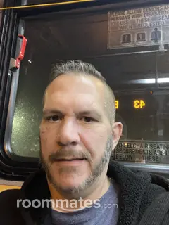 Roommate looking Pittsburgh, PA, $500