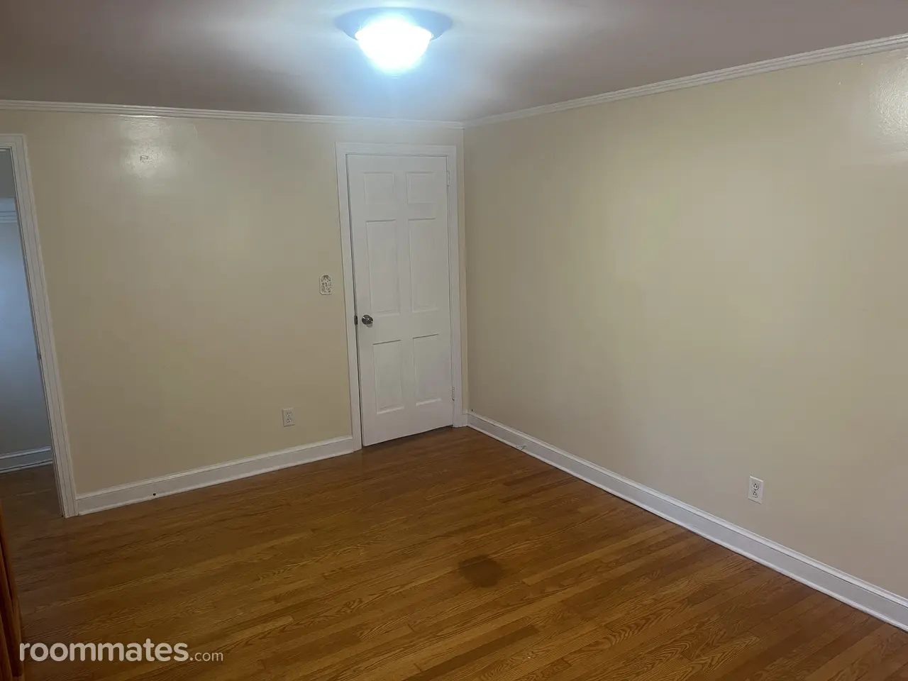 Profile photo 1 of 12