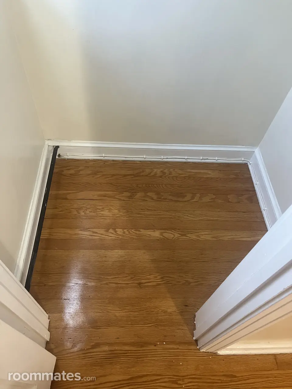 Profile photo 10 of 12