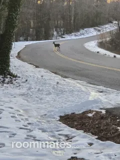 Room for rent in South Hill, VA $700, house