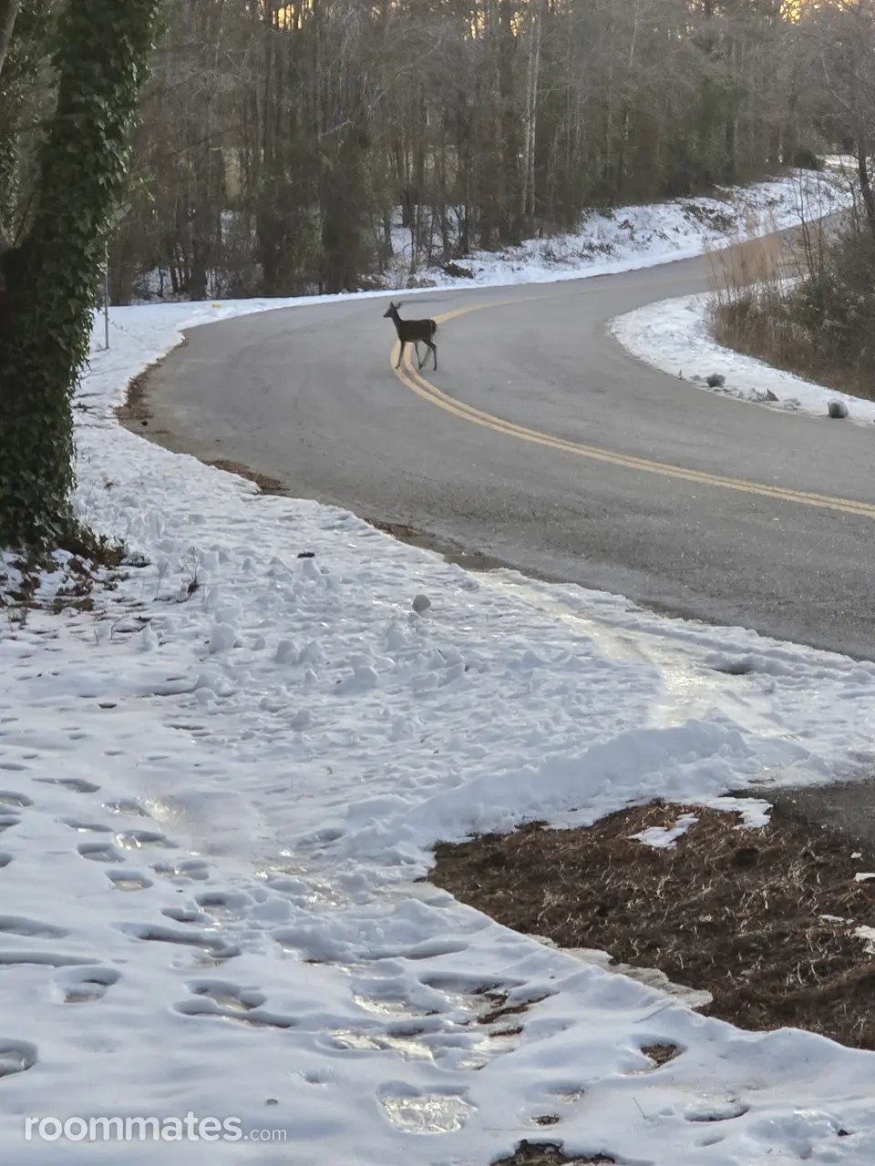 Profile photo 3 of 6