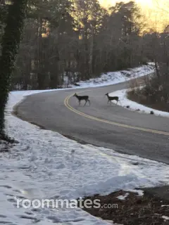 Room for rent in South Hill, VA $700, house