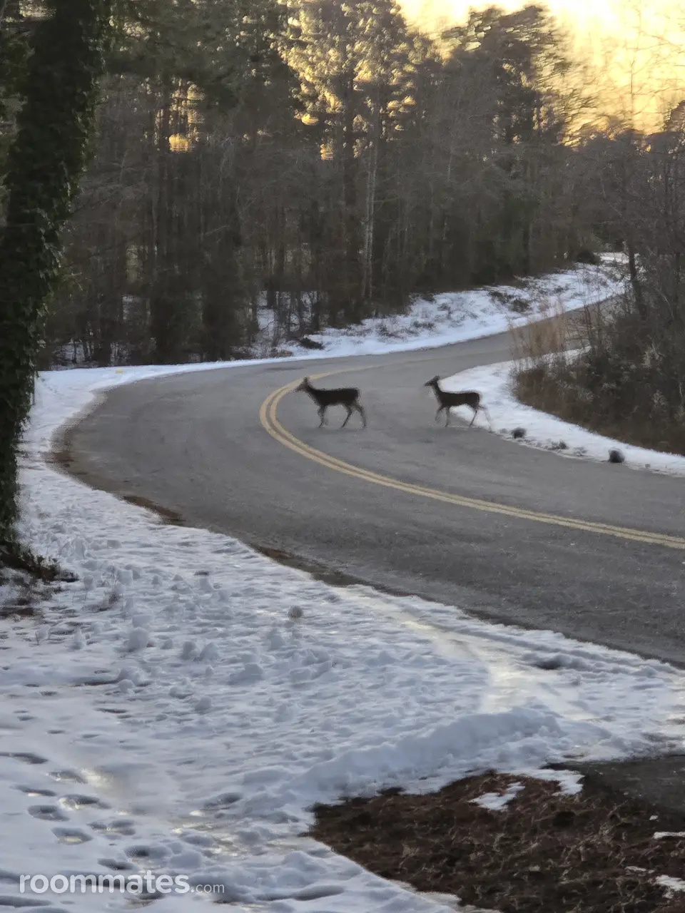 Profile photo 4 of 6