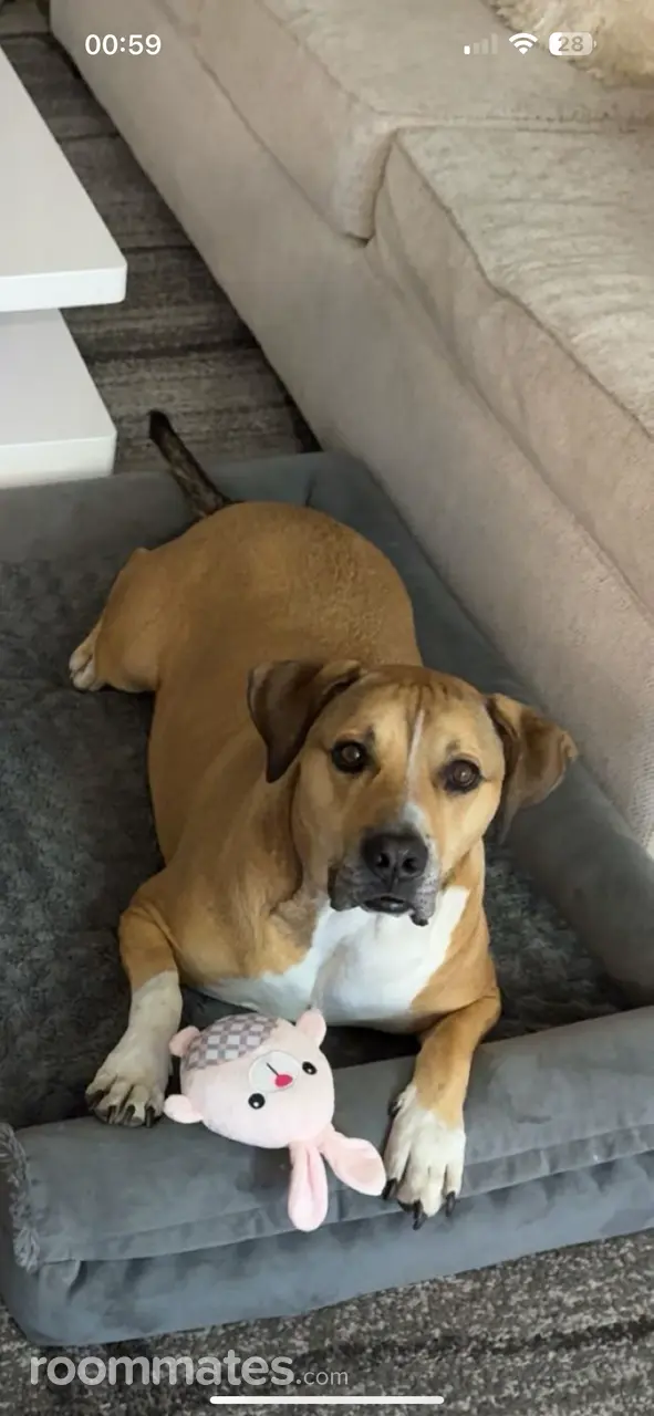 Profile photo 5 of 5