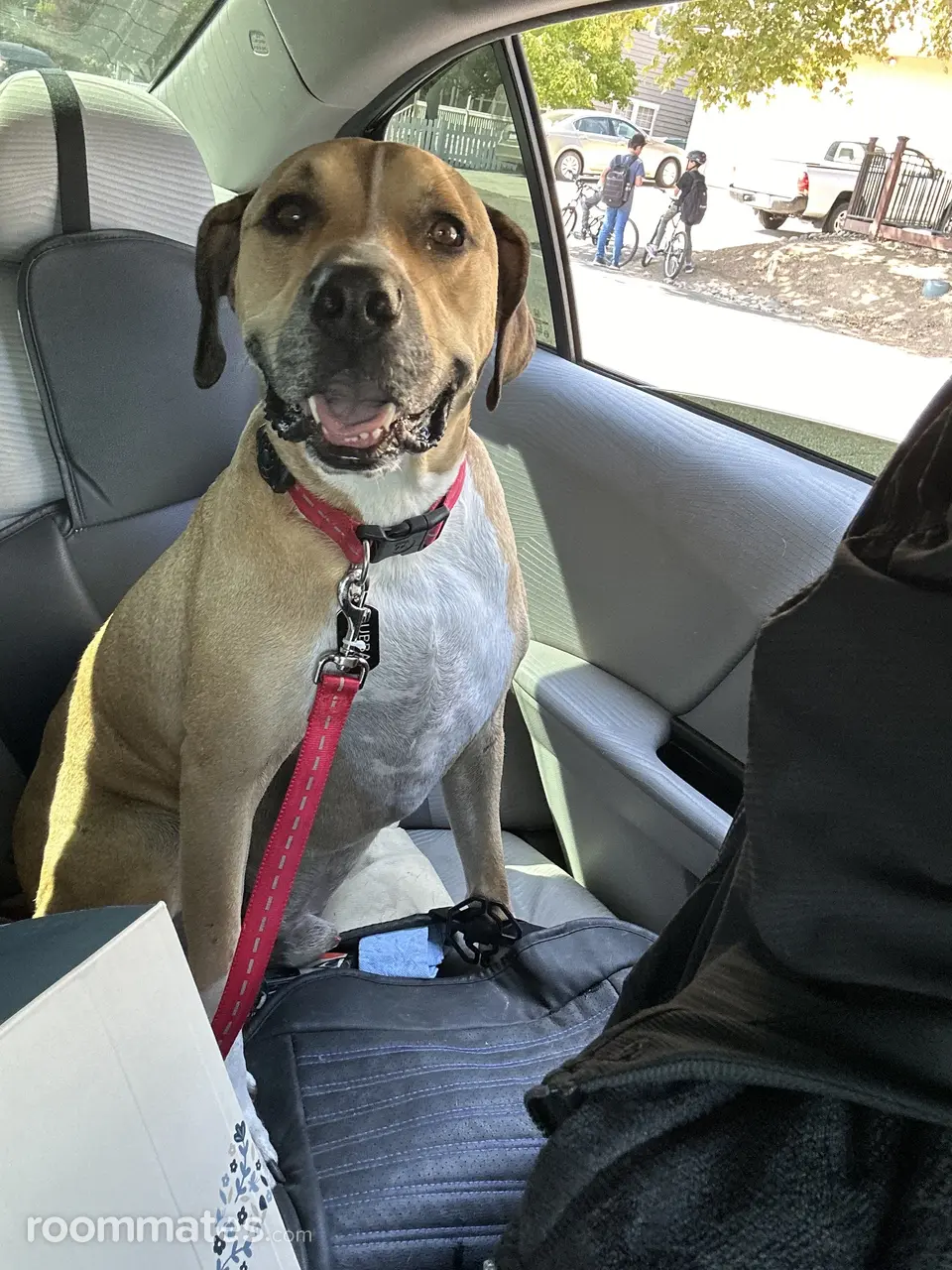 Profile photo 2 of 5