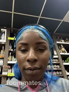 Roommate looking New Orleans Station, LA, $600