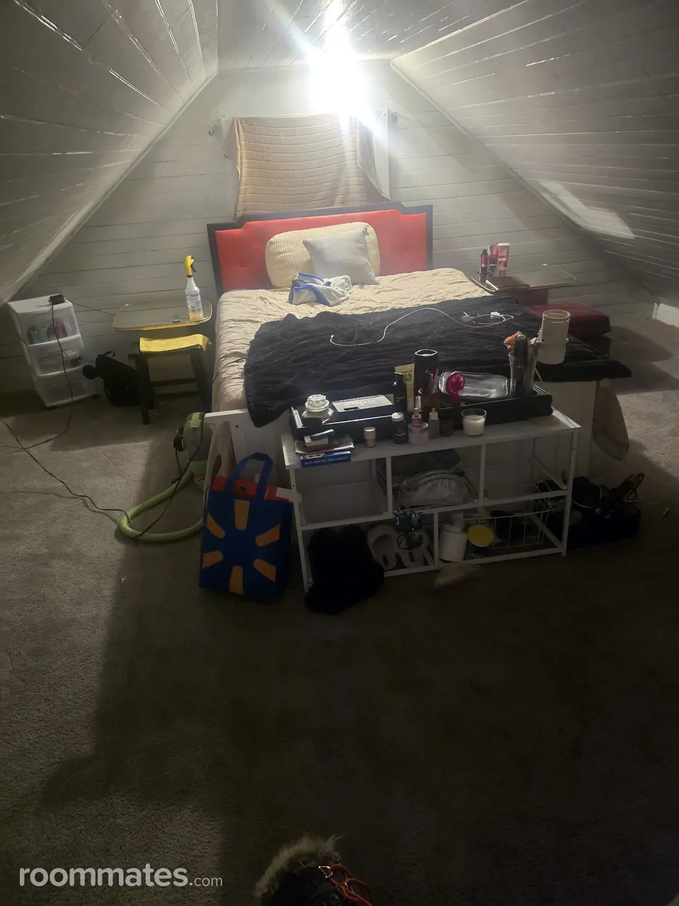 Profile photo 1 of 4