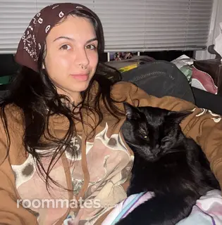 Roommate looking Olympia, WA, $1100