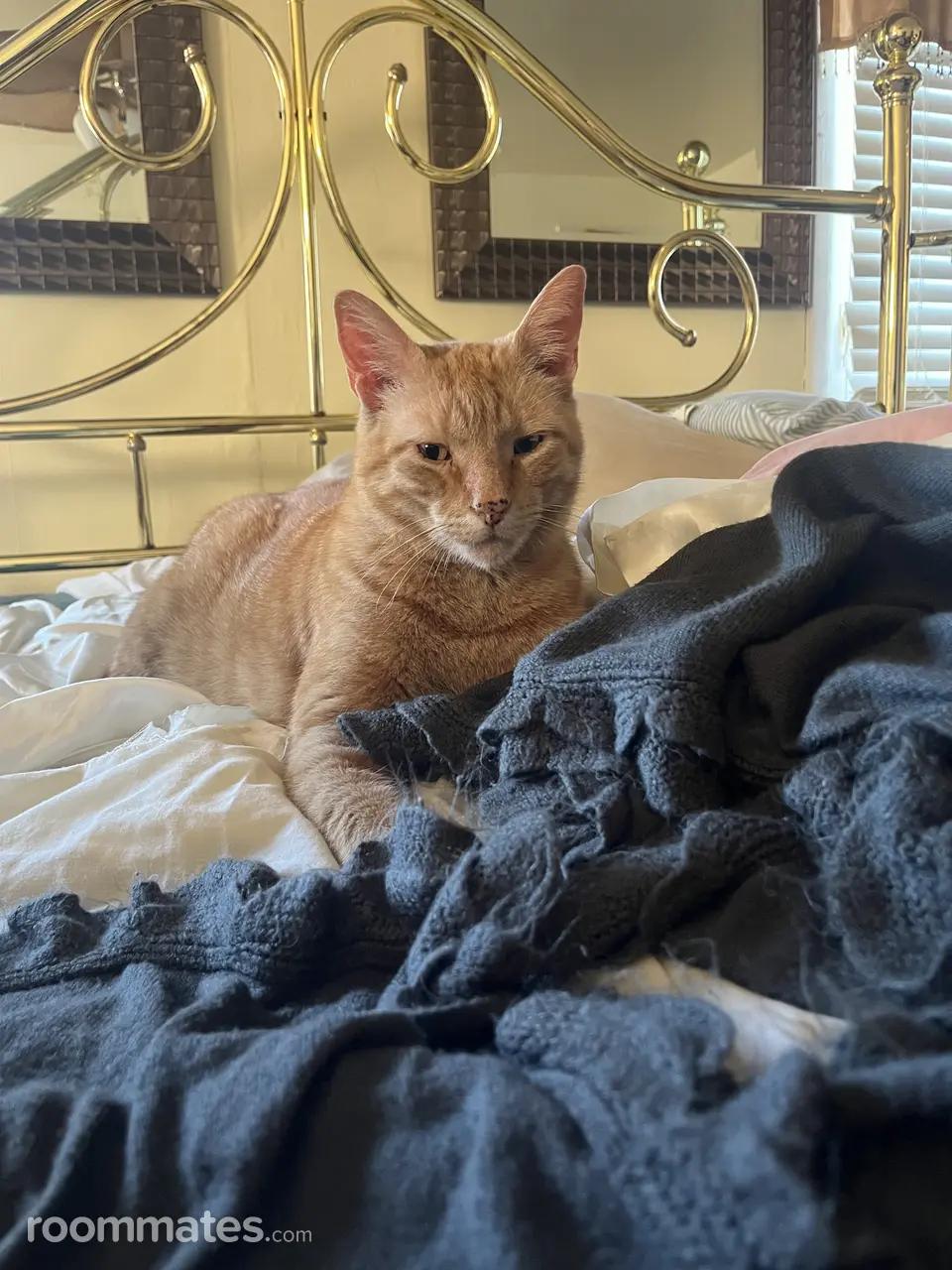 Profile photo 5 of 7