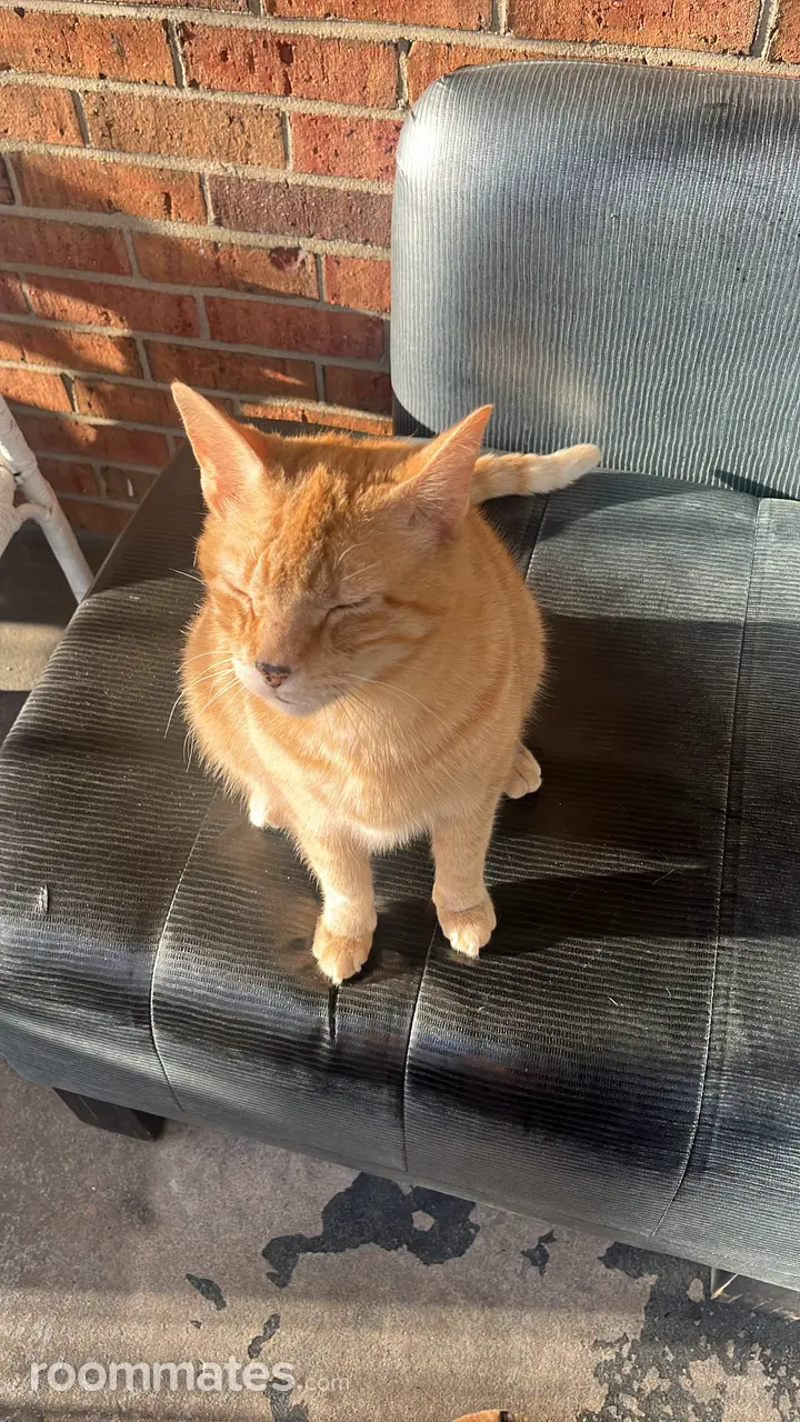 Profile photo 6 of 7